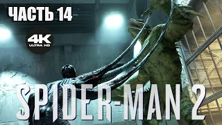 #14 ГОНКИ С ЯЩЕРОМ ➤ ПРОХОЖДЕНИЕ SPIDER-MAN 2 ➤ БЕЗ КОММЕНТАРИЕВ 4K