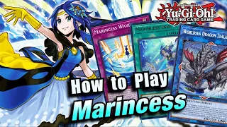 YU-GI-OH! *ULTIMATE* MARINCESS COMBO TUTORIAL AND GUIDE! HOW TO PLAY MARINCESS 2023!