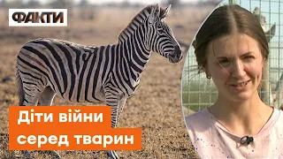 Зоопарк ВИСТОЯВ навіть у російській окупації: Наші тваринки СТАЛИ БЕЗСТРАШНИМИ