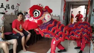 Lion Dance 2020 Singapore Wen Yong lion dance troupe