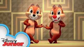 "Soro Soke” Song | Shake Your Tail with Chip ‘N Dale! | @disneyjunior