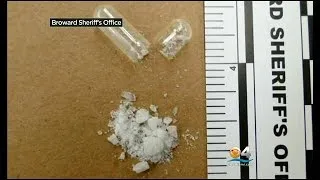 BSO Increases Training To Deal With "Flakka" Drug