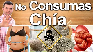 No Consumas Chía! - Contraindicaciones De La Semilla De Chia Que Debes Conocer