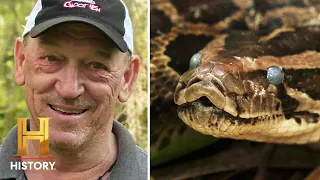 TROY HUNTS THREATENING PYTHONS 🐍 | Swamp People: Serpent Invasion (Season 3)