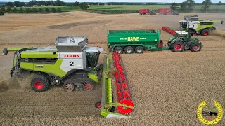 2 X Claas Lexion 8900 mit 1380 Convio / Fendt 1050 Vario / Hawe 4000 Überladewagen / Weizenernte