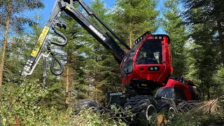 901xc S82 | First Thinning / Första Gallring