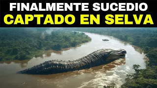 Lo Han Grabado En La Selva Amazónica Y Nadie Puede Creerlo