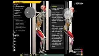 Knee Valgus Collapse During Squat