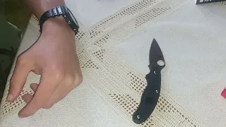 Кращій дрібний ніж для носіннґ у Німетчинні Spyderco C94PBK UK Pen Knife