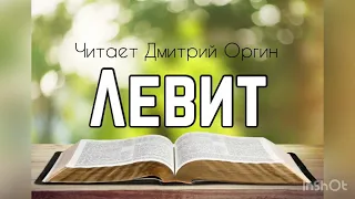 Библия, Левит 10 глава