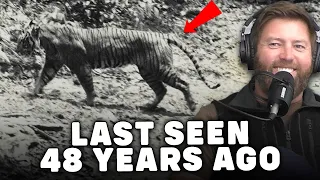 "Extinct" Tiger Rediscovered in Indonesia