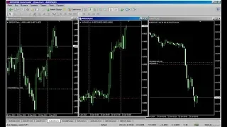 Советник "Медео" Прибыль 15000 % за 2018 год.