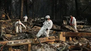 «Парадайс стал кладбищем». Где поселятся жители полностью сгоревшего калифорнийского города