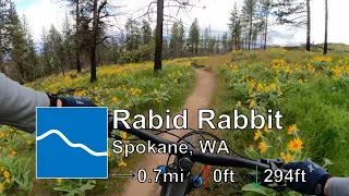 Rabid Rabbit - Beacon Hill - Spokane, WA