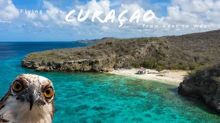 Flying over Curaçao from East to West  8 hours - Amazing Aerial Scenery & Soothing Style