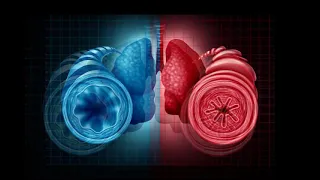 Auscultación Pulmonar| R-R| SIBILANCIAS POLIFONICAS