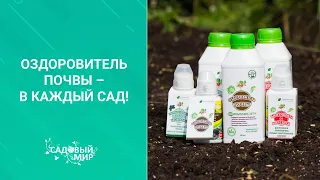 Оздоровитель почвы – в каждый сад!