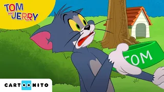 A Tom és Jerry-show | Madáritató-blues | Cartoonito