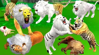 बूढ़े शेर की खाल में नकली बाघ और 3 सफ़ेद शेर जानवर बचाव |Tiger in Lion Skin | Animals Stories-Kahaniya