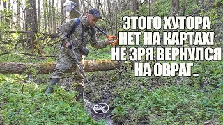 НЕ ЗРЯ ВЕРНУЛСЯ НА ХУТОР У ОВРАГА! Поиск золота с металлоискателем / Russian Digger