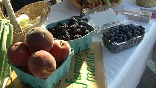What's At the Farmers Market