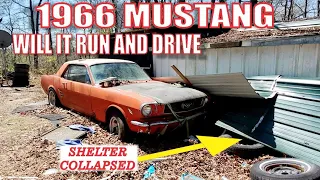 Will it run and drive out of a collapsed shelter? 1966 Mustang 289 V8!