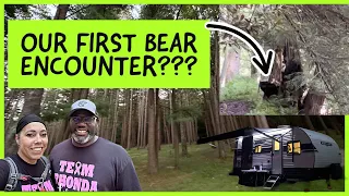 BBQ, Beers, and Bears at Cook Forest State Park