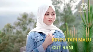 RINDU TAPI MALU - Cut rani (2023)