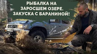 Рыбалка на Заросшем озере. Выгуливаем Toyota Surf по лесу! Закуска с бараниной!