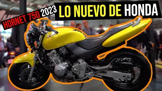 🔥 Honda HORNET 2023 | EL FUTURO 😱 | Cam Daza