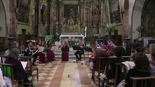 Concerto brandebourgeois n°3 de Bach