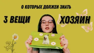 3 ВЕЩИ, О КОТОРЫХ ДОЛЖЕН ЗНАТЬ КАЖДЫЙ ХОЗЯИН