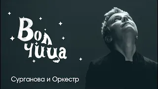 Сурганова и оркестр - Волчица (Lyric video)