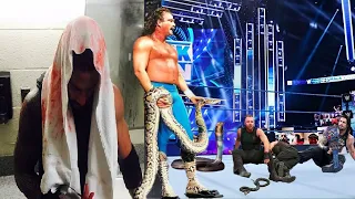 WWE Wrestlers Attacked by Animals | Animals  Attack Wrestlers !