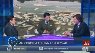 Круглый стол. Массовая гибель рыбы в реке Урал