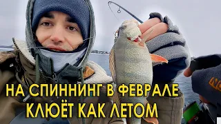 Они не знают про глухозимье? Окунь клюёт на микроджиг!