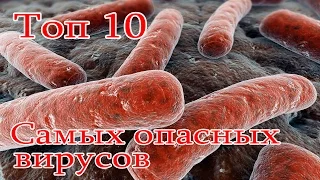 Топ 10 Самых опасных вирусов. Смертельные вирусы для человека.