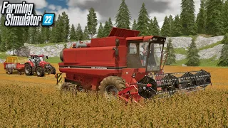 Bean Harvest on Goldcrest Valley | Farming Simulator 22