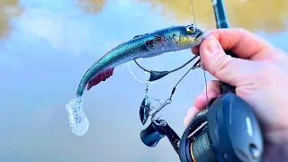 How to Catch Pike on Lures in Coloured Water