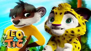 Leo and Tig 🦁 Episode 17 - New animated movie - Kedoo ToonsTV