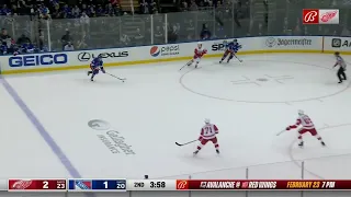 Detroit Red Wings Moritz Seider with beautiful reverse check. 2/17/22