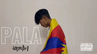 IAMTHE1 - "PALA" [ OFFICIEL VIDEO] PROD BY @dizzlad-beats-instrumentals