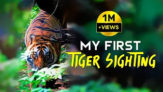 Ranthambore National Park - Zone 4 Tiger Safari - (T86) 4K Video