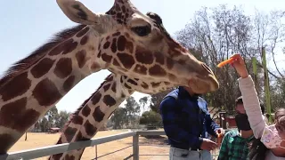 #TurismoVirtual. Un día en el Parque Ecológico Zacango.