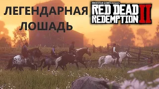 Red Dead Redemption 2 - Легендарная Лошадь Где и как Получить