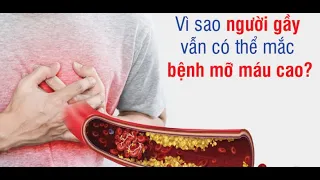 Vì sao người gầy cũng bị mỡ máu cao?