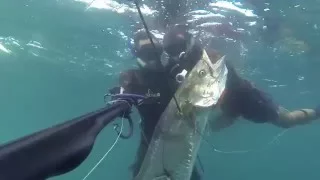 Spearfishing israel - Idan asulin