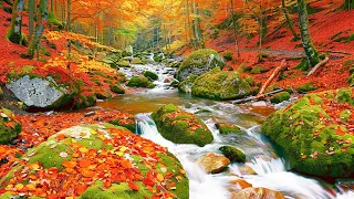 Gently Autumn Melody 🍁 Relaxing Melodies for Your Soul, Autumn in My Heart 🍂