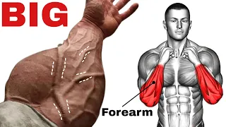 Top 7 Best Forearm Exercises to Make Big Forearms - ree workout