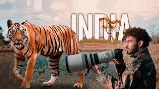 JOURNEY TO TIGER COUNTRY - INDIA